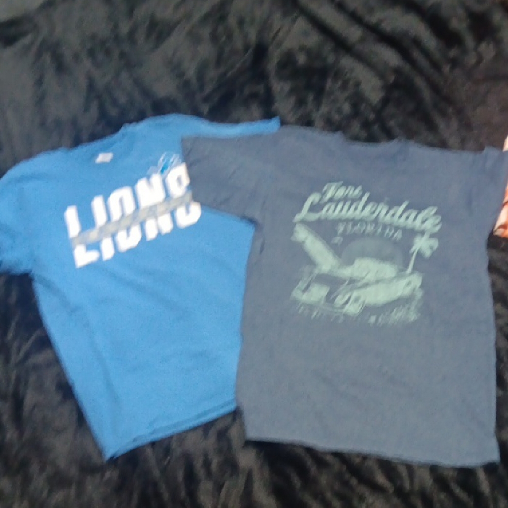 Short Sleeve Graphic Tee - Blue and Gray